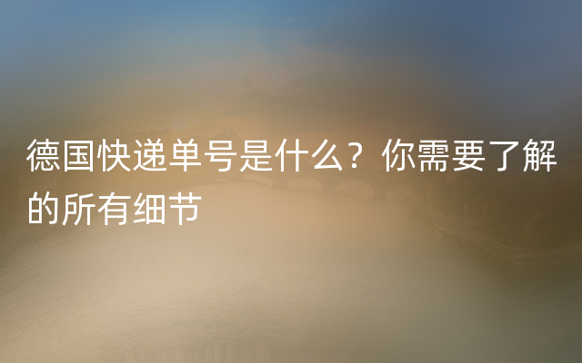 德国快递单号是什么？你需要了解的所有细节