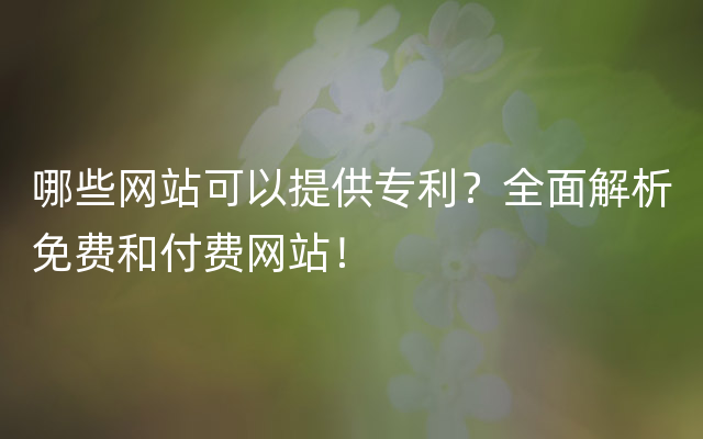 哪些网站可以提供专利？全面解析免费和付费网站！