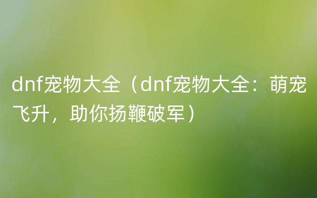 dnf宠物大全（dnf宠物大全：萌宠飞升，助你扬鞭破