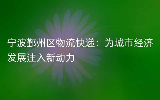 宁波鄞州区物流快递：为城市经济发展注入新动力