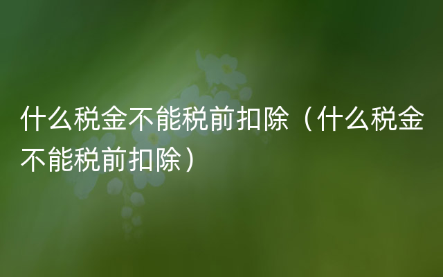 什么税金不能税前扣除（什么税金不能税前扣除）