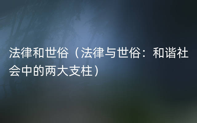 法律和世俗（法律与世俗：和谐社会中的两大支柱）