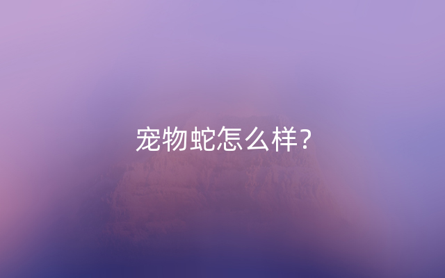 宠物蛇怎么样？