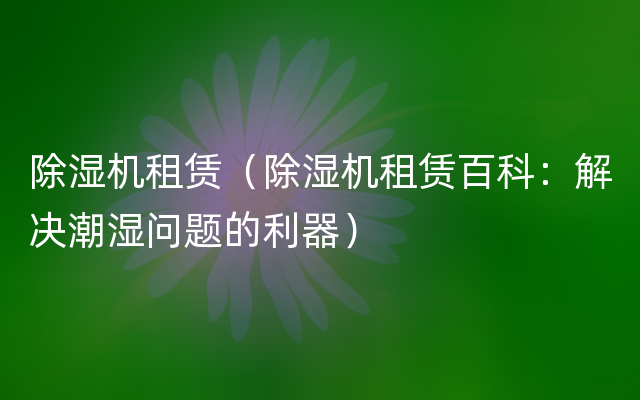 除湿机租赁（除湿机租赁百科：解决潮湿问题的利器）