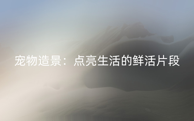 宠物造景：点亮生活的鲜活片段