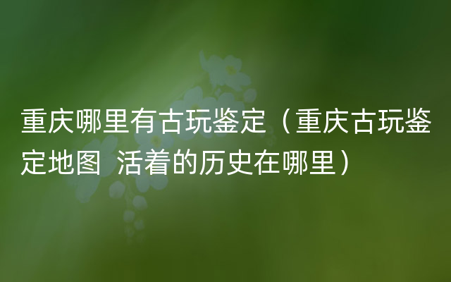 重庆哪里有古玩鉴定（重庆古玩鉴定地图  活着的历史在哪里）