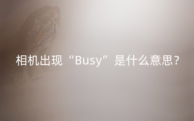 相机出现“Busy”是什么意思？