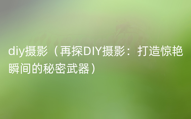 diy摄影（再探DIY摄影：打造惊艳瞬间的秘密武器）