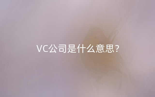 VC公司是什么意思？