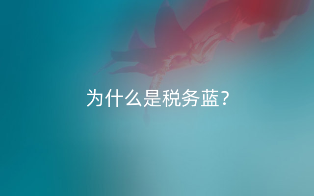 为什么是税务蓝？