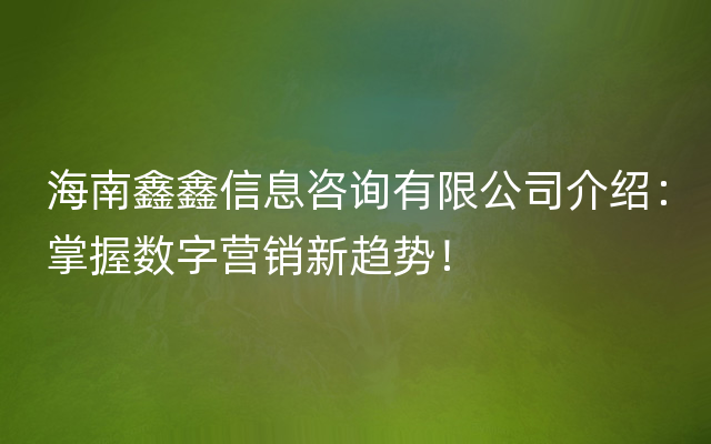 海南鑫鑫信息咨询有限公司介绍：掌握数字营销新趋势！