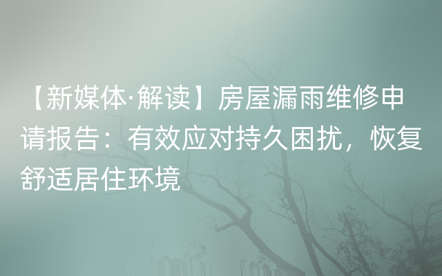 【新媒体·解读】房屋漏雨维修申请报告：有效应对持久困扰，恢复舒适居住环境