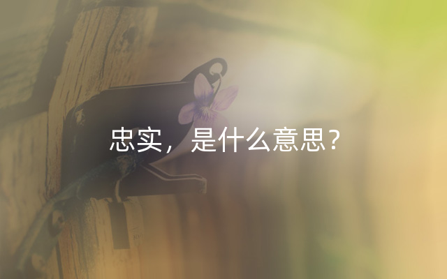 忠实，是什么意思？