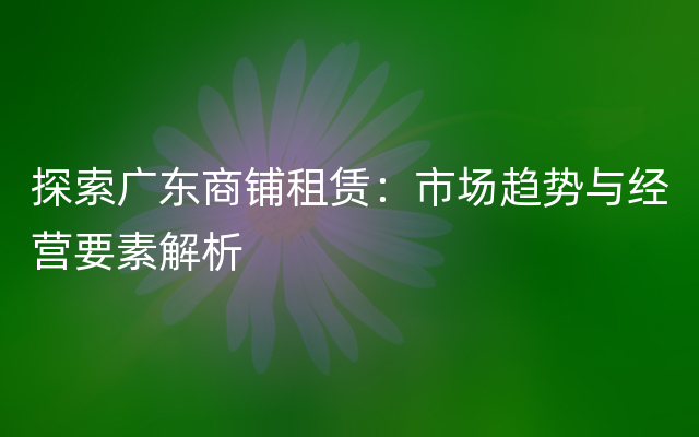 探索广东商铺租赁：市场趋势与经营要素解析