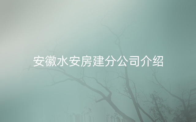 安徽水安房建分公司介绍