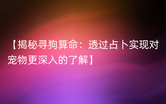 【揭秘寻狗算命：透过占卜实现对宠物更深入的了解】