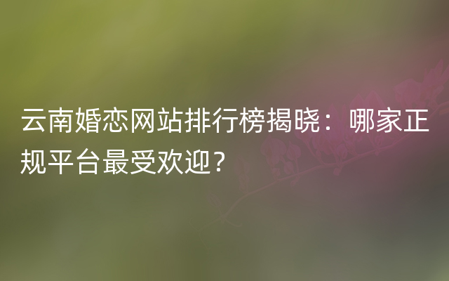 云南婚恋网站排行榜揭晓：哪家正规平台最受欢迎？