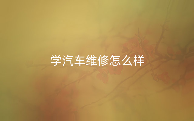 学汽车维修怎么样