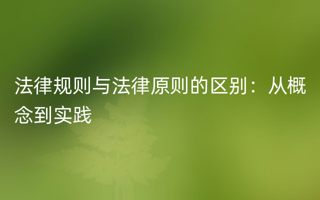 法律规则与法律原则的区别：从概念到实践