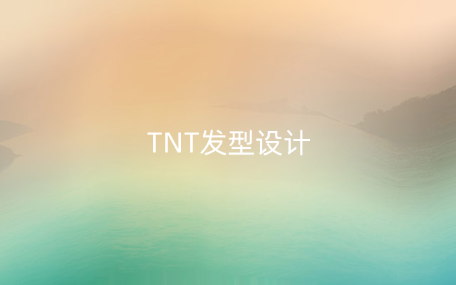 TNT发型设计