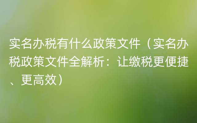 实名办税有什么政策文件（实名办税政策文件全解析：让缴税更便捷、更高效）