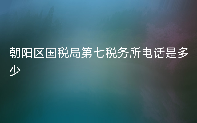 朝阳区国税局第七税务所电话是多少