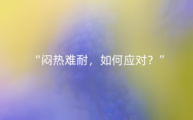 “闷热难耐，如何应对？”