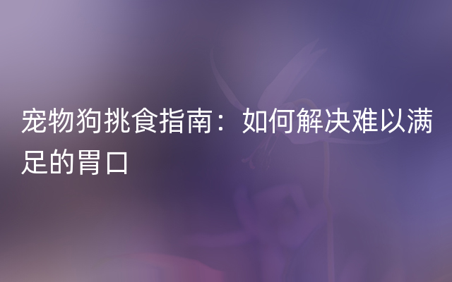 宠物狗挑食指南：如何解决难以满足的胃口