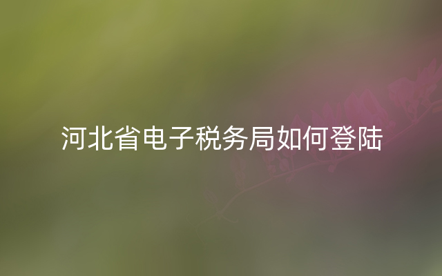 河北省电子税务局如何登陆