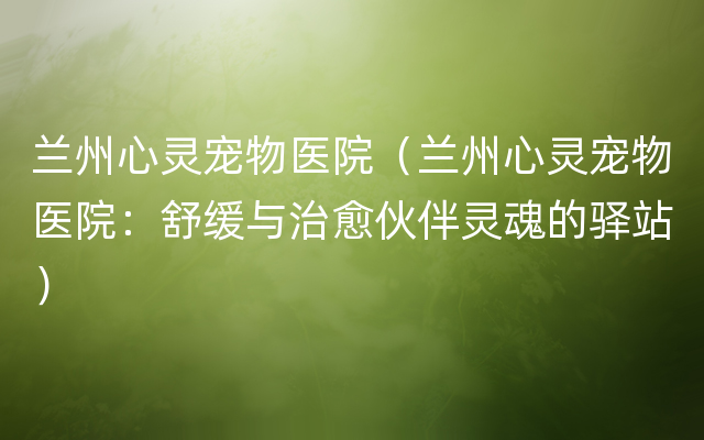 兰州心灵宠物医院（兰州心灵宠物医院：舒缓与治愈伙伴灵魂的驿站）