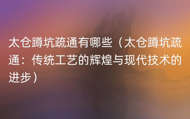 太仓蹲坑疏通有哪些（太仓蹲坑疏通：传统工艺的辉煌与现代技术的进步）