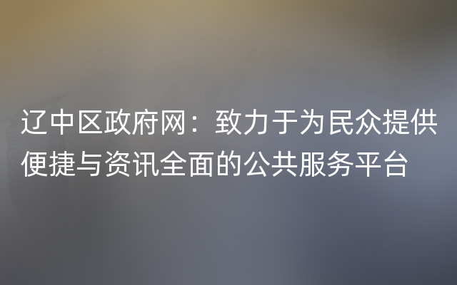 辽中区政府网：致力于为民众提供便捷与资讯全面的公共服务平台