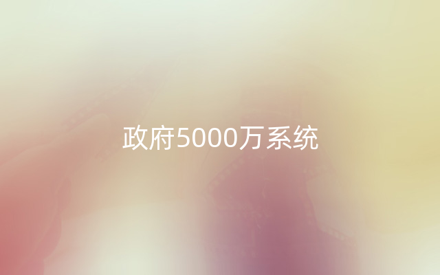 政府5000万系统