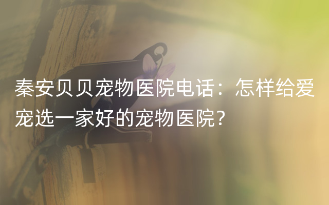 秦安贝贝宠物医院电话：怎样给爱宠选一家好的宠物医院？