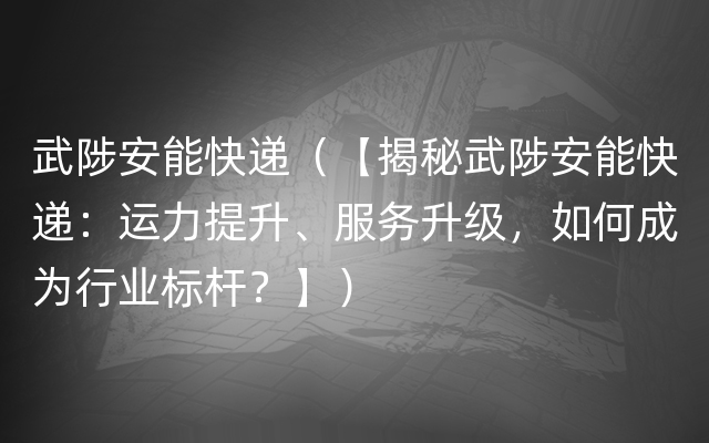 武陟安能快递（【揭秘武陟安能快递：运力提升、服