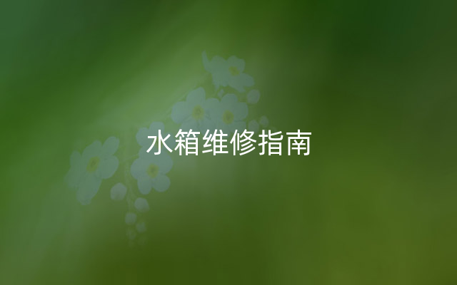 水箱维修指南