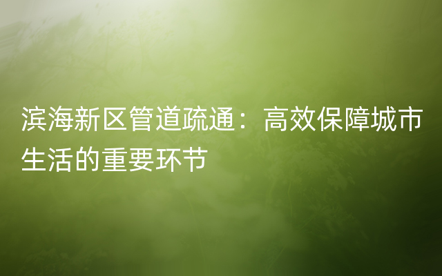 滨海新区管道疏通：高效保障城市生活的重要环节