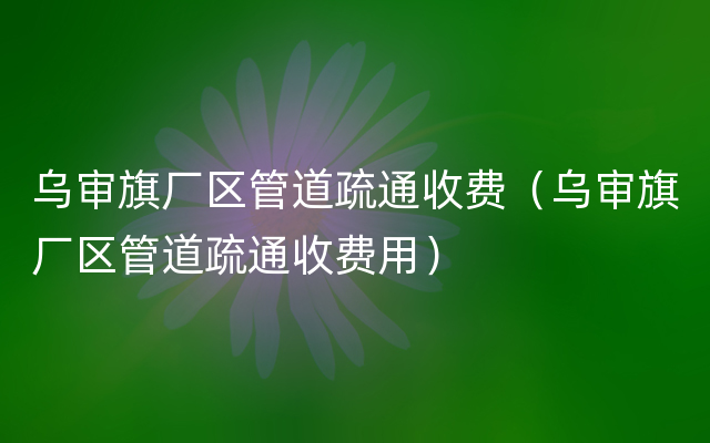 乌审旗厂区管道疏通收费（乌审旗厂区管道疏通收费用）