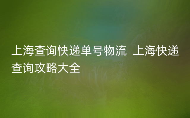 上海查询快递单号物流  上海快递查询攻略大全