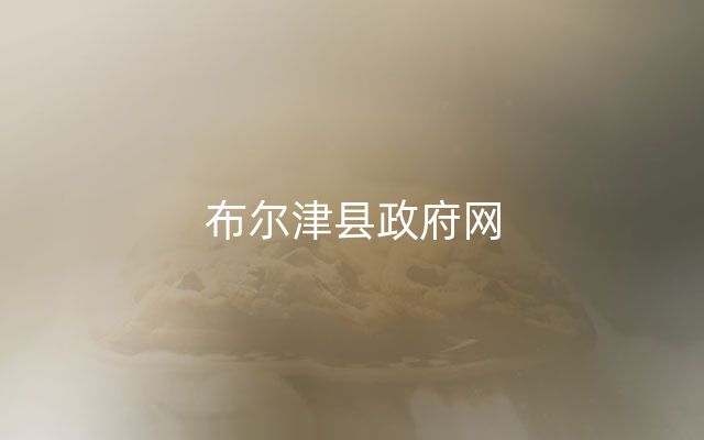 布尔津县政府网