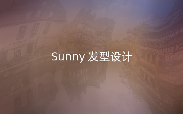 Sunny 发型设计