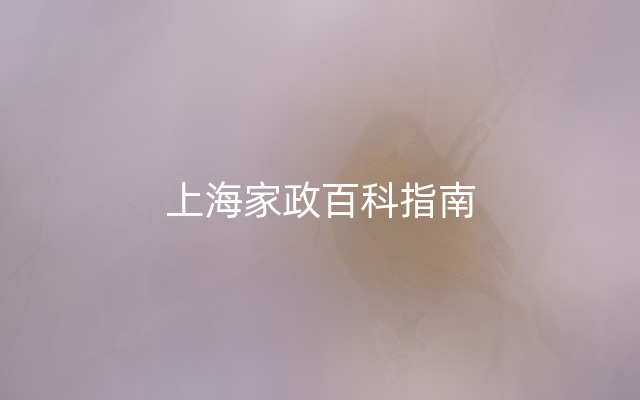 上海家政百科指南