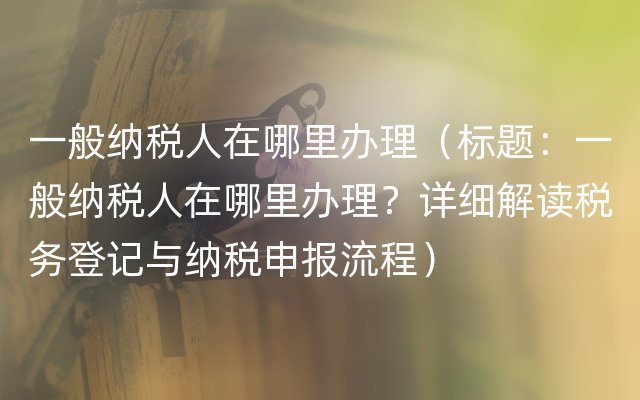 一般纳税人在哪里办理（标题：一般纳税人在哪里办理？详细解读税务登记与纳税申报流程