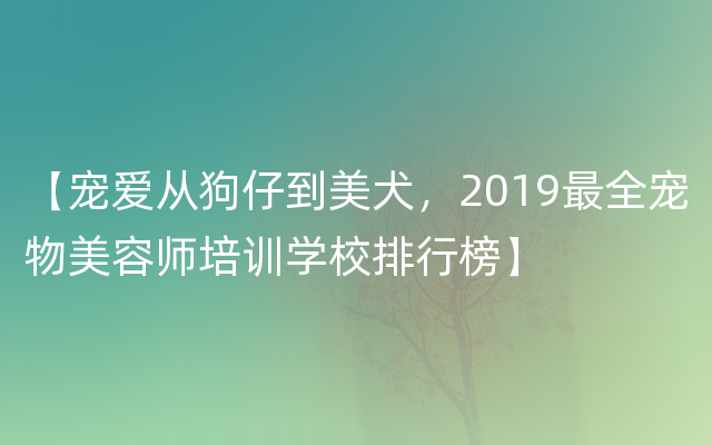 【宠爱从狗仔到美犬，2019最全宠物美容师培训学校