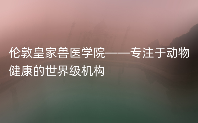 伦敦皇家兽医学院——专注于动物健康的世界级机构