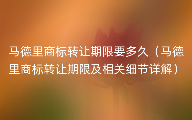 马德里商标转让期限要多久（马德里商标转让期限及相关细节详解）