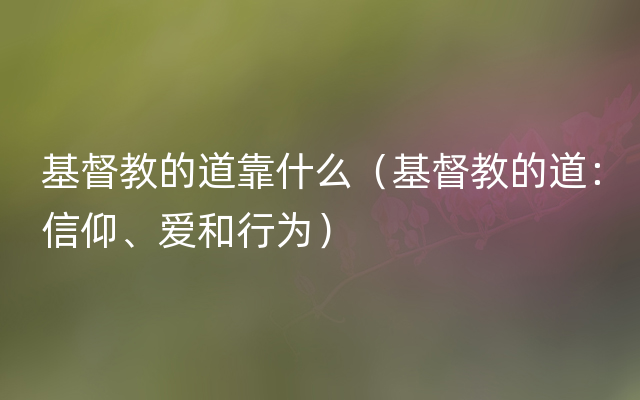 基督教的道靠什么（基督教的道：信仰、爱和行为）