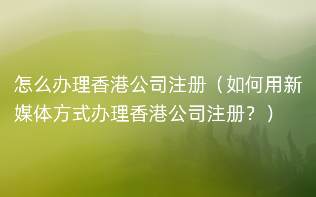 怎么办理香港公司注册（如何用新媒体方式办理香港公司注册？）