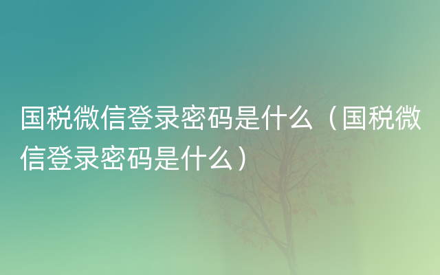 国税微信登录密码是什么（国税微信登录密码是什么）