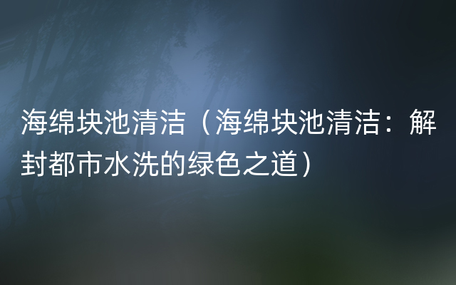 海绵块池清洁（海绵块池清洁：解封都市水洗的绿色之道）